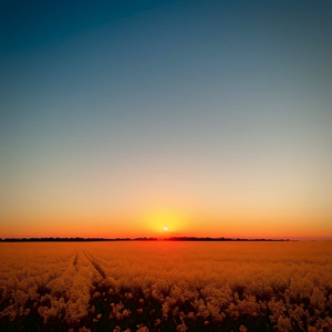 欧美 亚洲 强奸乱伦 丝袜  尼龙袜
