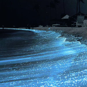 欧美 亚洲 强奸乱伦 丝袜  尼龙袜
